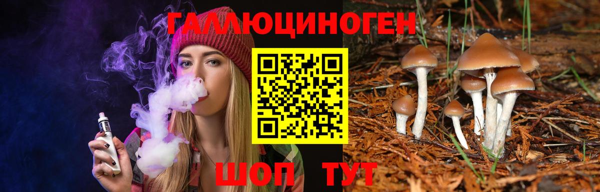 Галлюциногенные грибы MAGIC MUSHROOMS Мыски